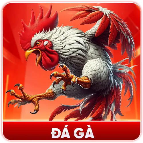 Đá gà OK8386