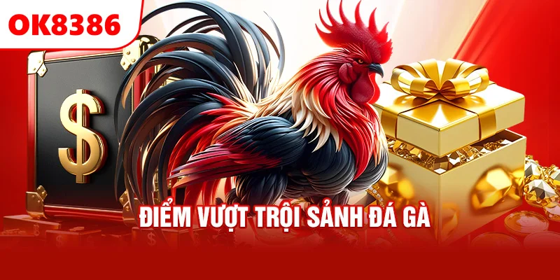 Điểm vượt trội sảnh đá gà