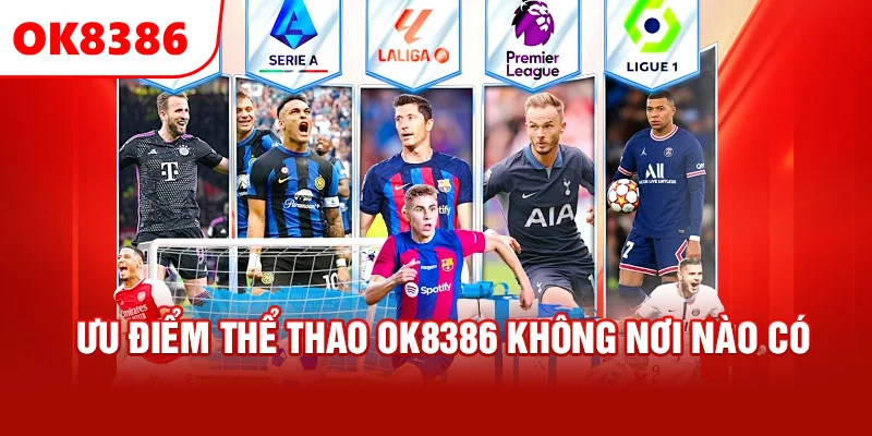 Ưu điểm của các sảnh thể thao tại OK8386